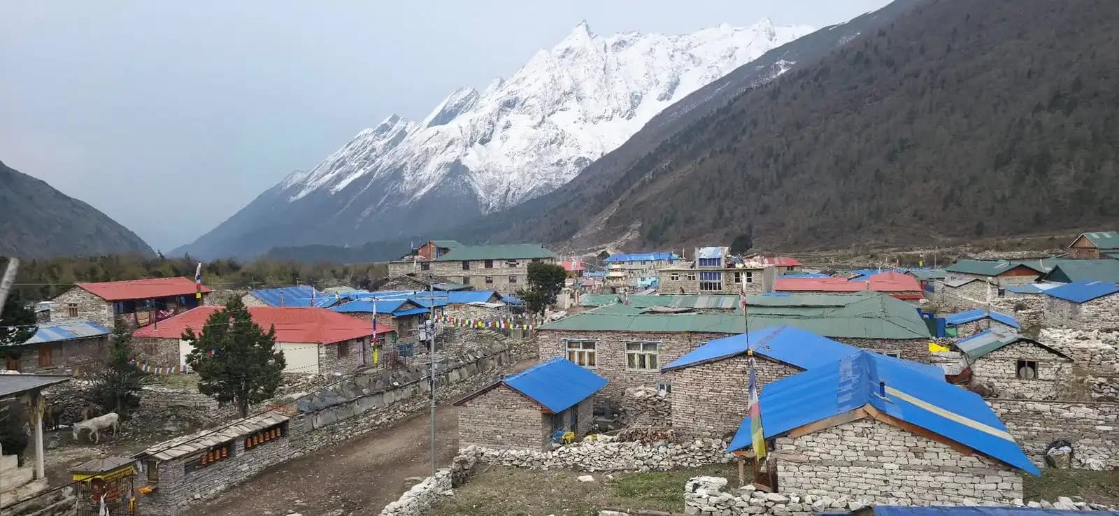 Simon Krause's 5 Star Review for Everest Thrill